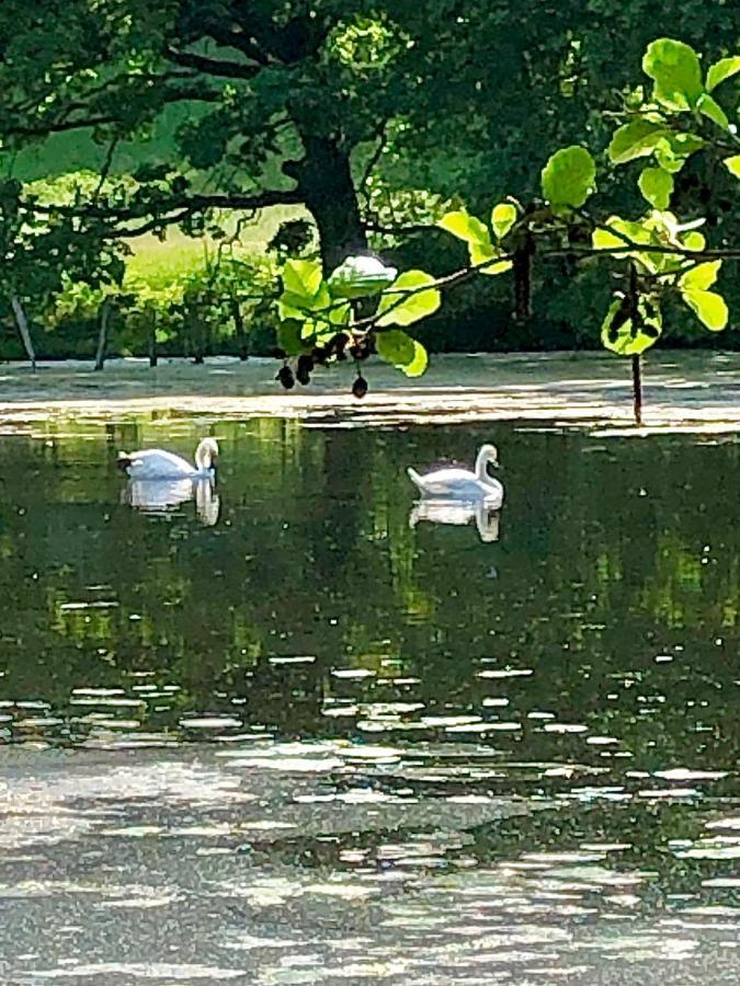 Ferienwohnungen Am Klusteich Goslar Zewnętrze zdjęcie
